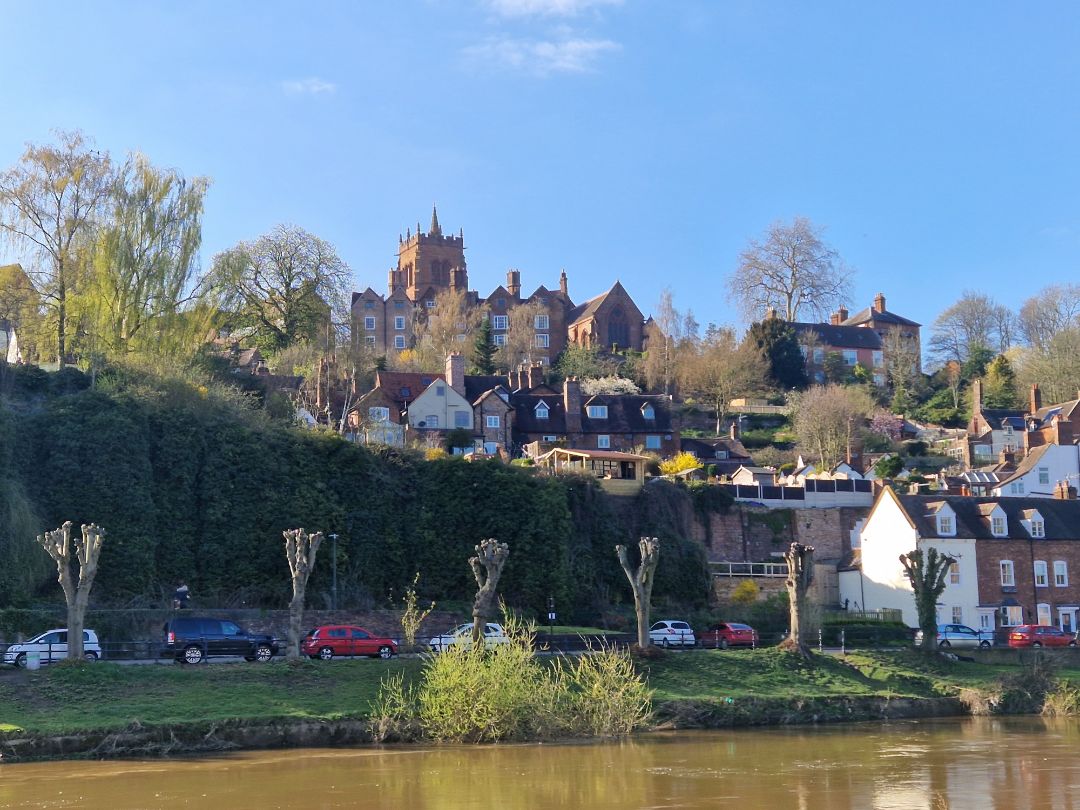 Portrait von  Hartmut Siegl